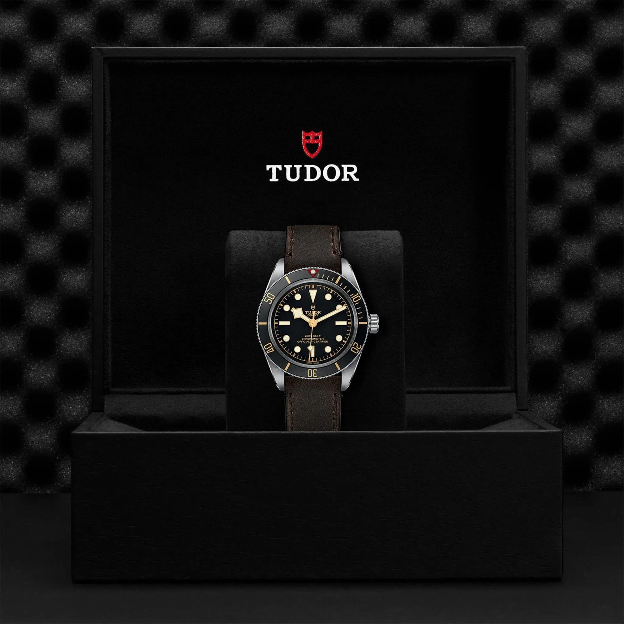 TUDOR 39mm Black Bay 58 Black Dial on Leather - M79030N-0002