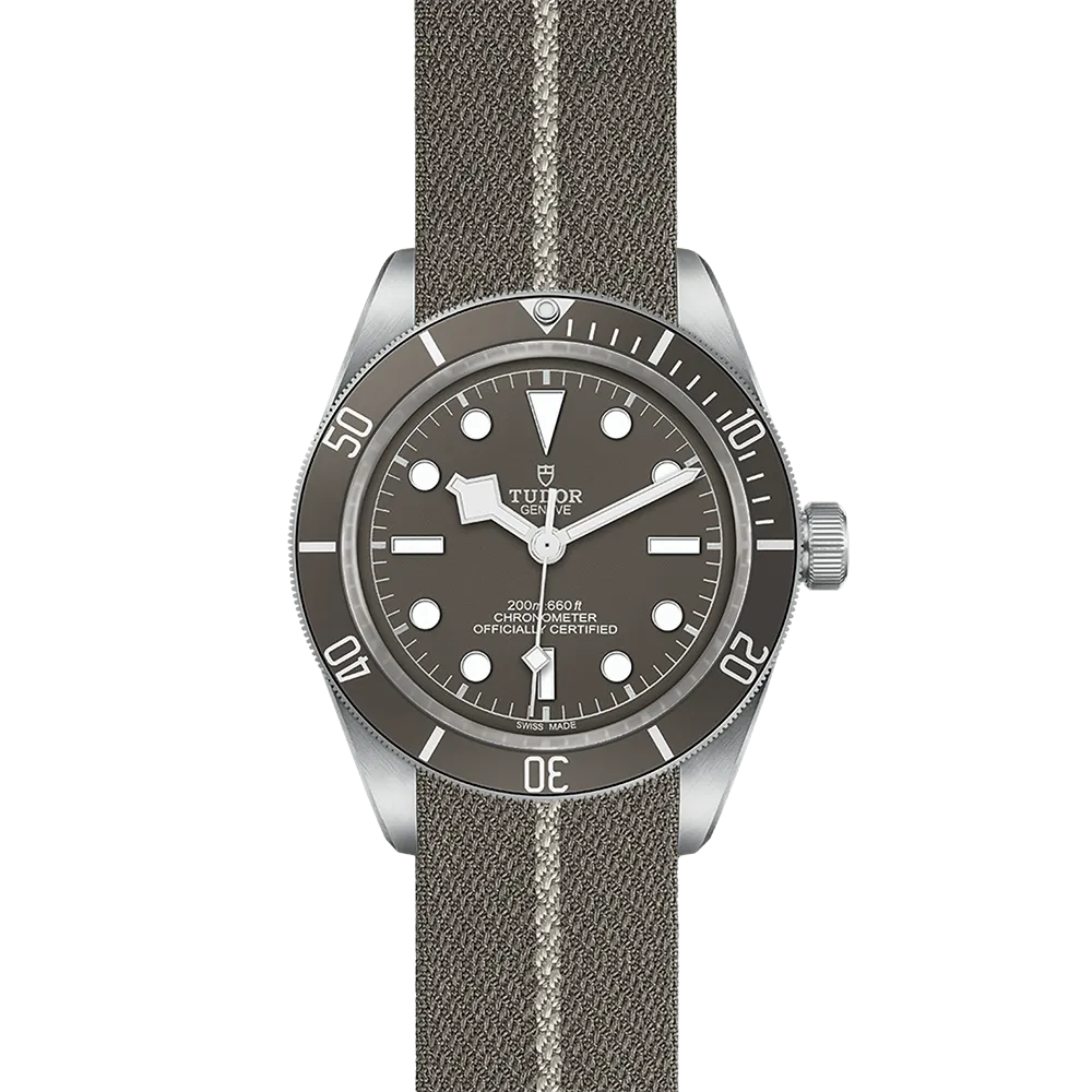 TUDOR Black Bay 58 925 M79010SG-0002