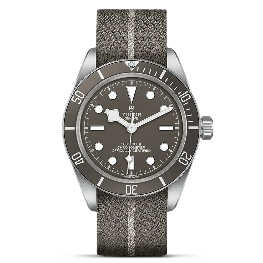 TUDOR Black Bay 58 925 M79010SG-0002