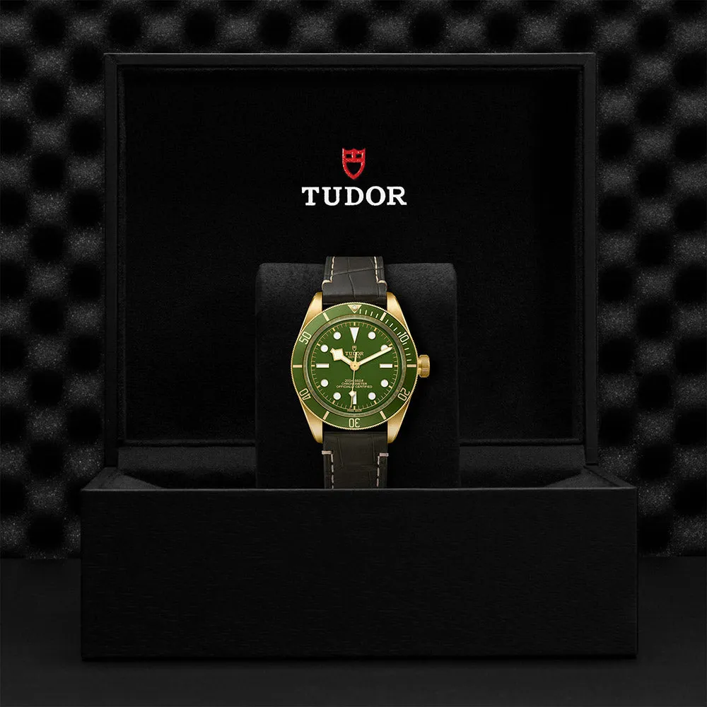 TUDOR Black Bay 58 M79018V-0001