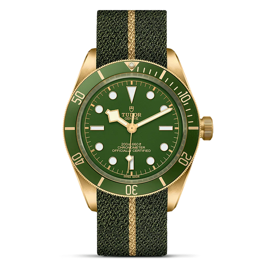 TUDOR Black Bay 58 M79018V-0001