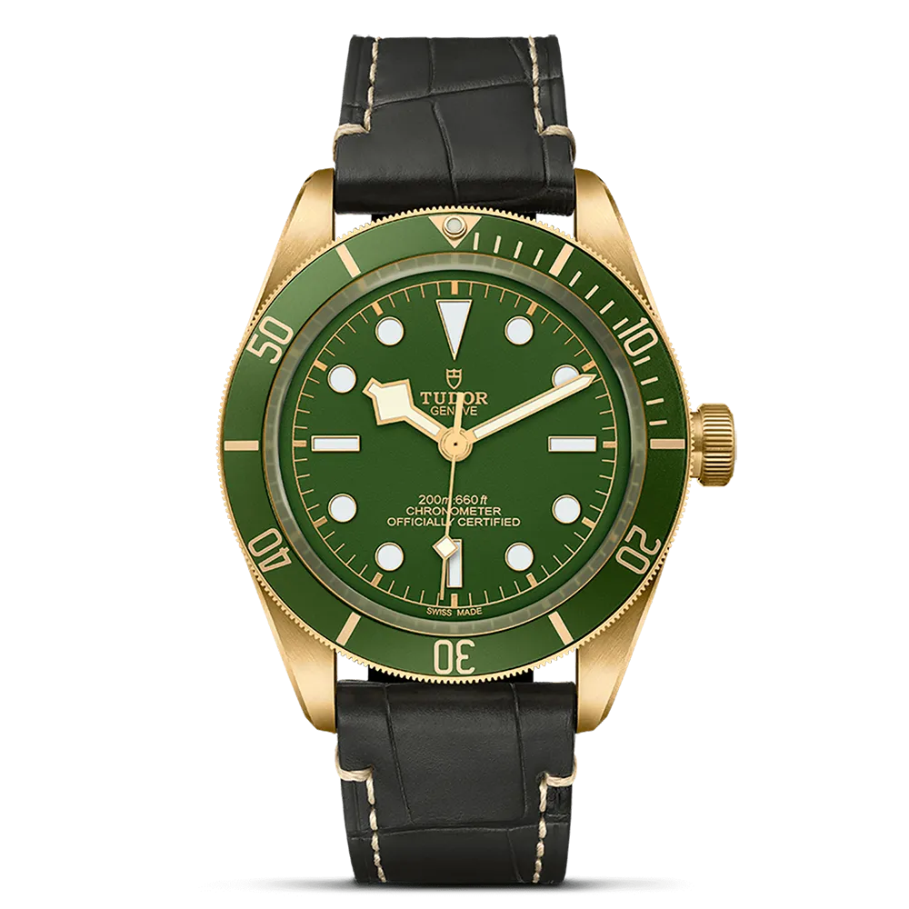 TUDOR Black Bay 58 M79018V-0001