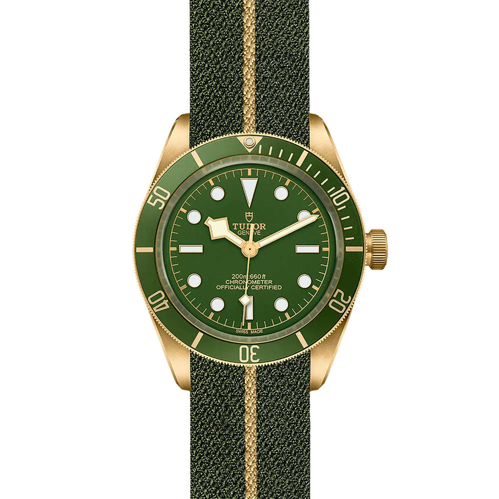 TUDOR Black Bay 58 M79018V-0001